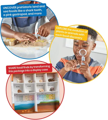 Vista 4 de hand2mind - Kit de excavación de fósiles para excavar y exhibir, vitrina de fósiles, 8 fósiles reales para descubrir, kits de excavación para niños