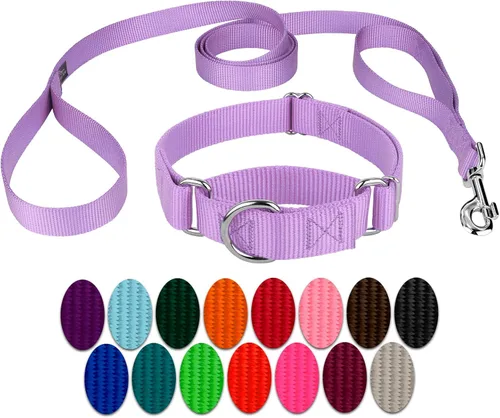 Vista 17 de Country Brook Design - Collar de perro de nailon Martingale y correa de doble asa-Negro-S