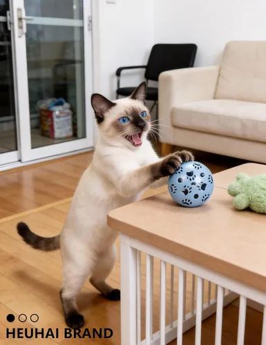 Vista 5 de Paquete de 10 bolas de plástico interactivo para gatos para gatitos