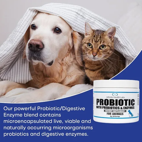 Vista 2 de Probióticos para perros y gatos – Formulado por veterinarios, fabricado en Estados Unidos, prebiótico y enzimático para mascotas en polvo