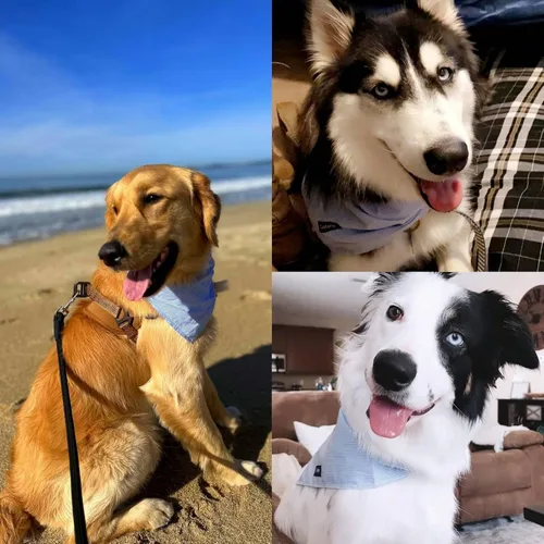 Vista 6 de Pañuelos para perros con estampado de rayas azules y pechera ajustable para razas de perro, lindo pañuelo de algodón para perros pequeños y XS