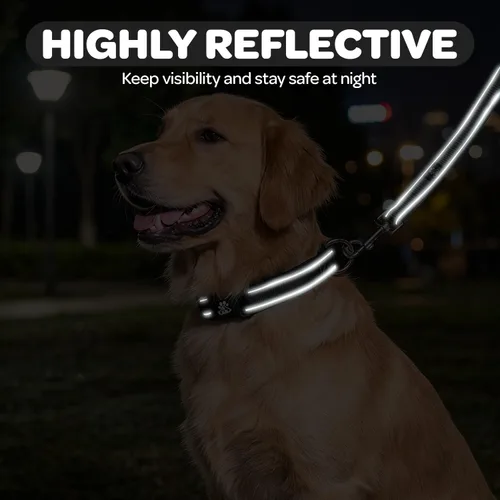 Vista 6 de FURRYFECTION Juego de collar y correa reflectante para perro con hebilla de liberación rápida, neopreno acolchado de nylon ajustable para perros