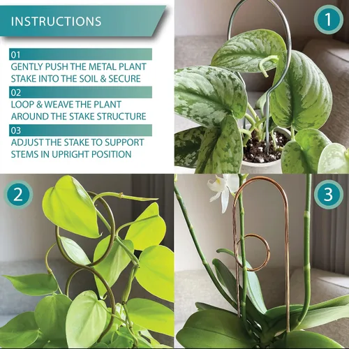 Vista 5 de Pequeño enrejado de metal para plantas de interior, estacas de metal para plantas trepadoras, soporte para plantas en maceta, orquídeas, Monstera