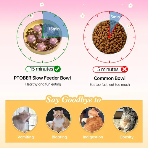 Vista 3 de Cuenco Alimentador Lento de Cerámica para Gatos - Plato de Comida Tipo Rompecabezas de 6 OZ para Alimentación Saludable - Poco Profundo y Ancho