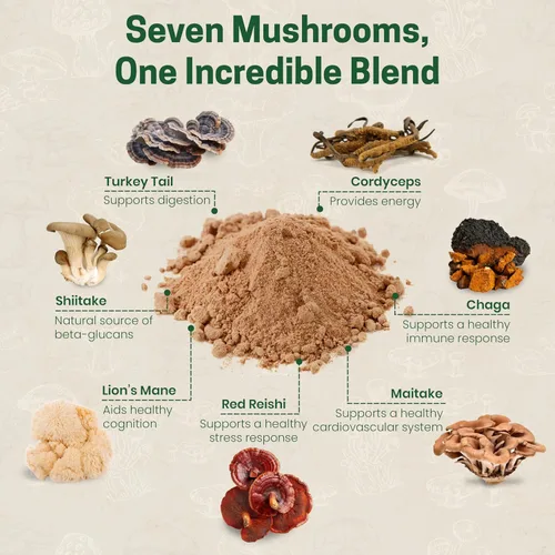 Vista 5 de Z Natural Foods Mezcla orgánica de 7 hongos sagrados, melena de león, cordyceps, chaga, reishi rojo, shiitake, maitake, hongos orgánicos en polvo