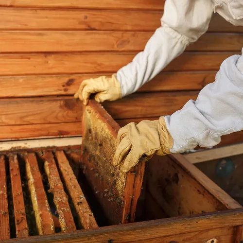 Vista 6 de HARFINGTON Traje de abeja para hombres y mujeres, L trajes de apicultura con guante y velo capucha, trajes de abeja para hombres, a prueba de patio