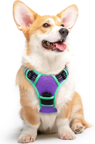 Vista 64 de Eagloo Arnés para perro pequeño, sin tirones, chaleco de servicio con tiras reflectantes y asa de control, ajustable y cómodo para caminar, arnés
