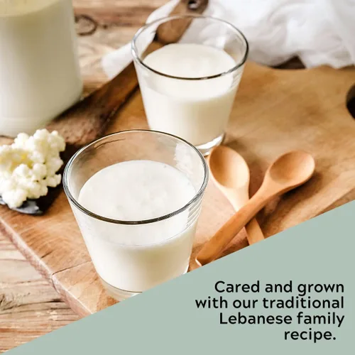 Vista 5 de 1 juego de cereales de kéfir de leche para iniciar, probiótico activo fresco y vivo comienza tu propio cultivo de kéfir en casa, Bulgaros de Leche