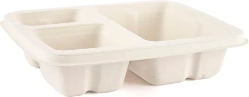 Vista 4 de Aakriti - Bagazo natural 100% compostable, fibra de caña de azúcar, biodegradable, resistente, sin blanquear para almuerzo, cena, platos de fiesta