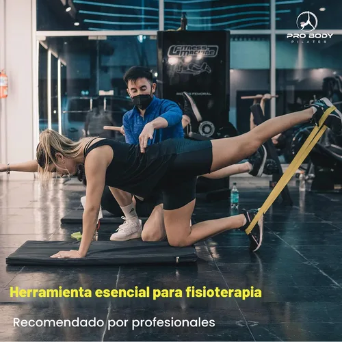 Vista 6 de ProBody Pilates Bandas de resistencia de bucle para entrenamiento, juego de 5 bandas de ejercicio de resistencia, bandas de entrenamiento