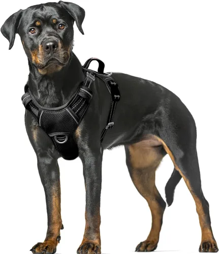 Vista 95 de BARKBAY Arnés para Perro Sin Tirones Talla Grande Arnés Reflectante para Perro con Clip Frontal y Asa de Control Fácil para Caminar Entrenar Correr