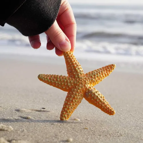 Vista 2 de Safari Ltd. Figura de estrella de mar, vibrante figura de estrella de mar de 4.5 pulgadas, juguete educativo para niños, niñas y niños a partir de 3