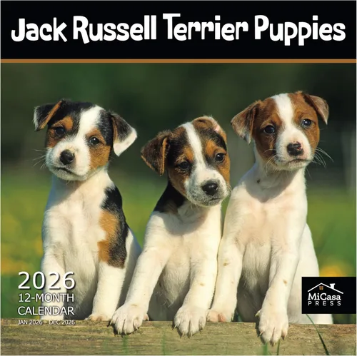 Vista 95 de MICASA PRESS Calendario de pared de Australian Shepherds Aussies 2027 02 - Pastores australianos