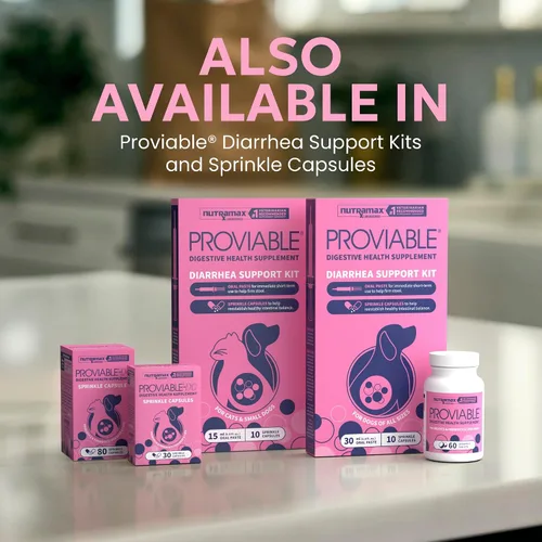 Vista 5 de Nutramax Probióticos Proviable para perros, Suplemento diario de salud digestiva con múltiples cepas de bacterias, probióticos para perros más