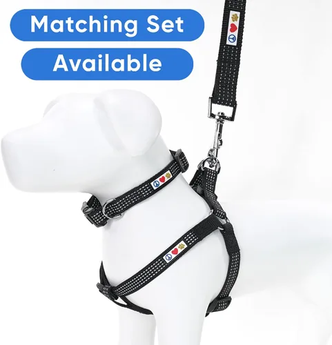 Vista 6 de Collar de entrenamiento reflectante para perros, de la marca Pawtitas, Negro