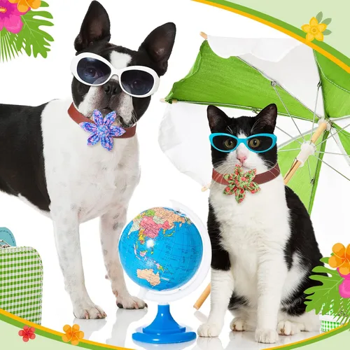 Vista 4 de Sanwuta 36 piezas de collar de perro de flores accesorios para mascotas, collar ajustable para perro, accesorio de otoño de flores para gatos