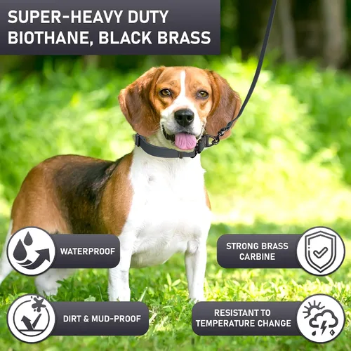 Vista 3 de Biothane - Correa para perro extra resistente, fabricada en Estados Unidos, correas impermeables para perros grandes, medianos y pequeños, correa