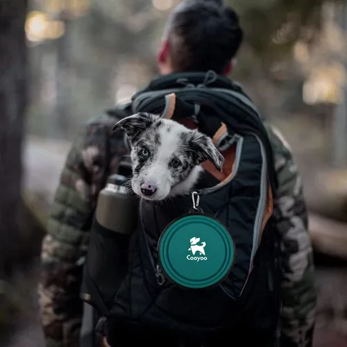 Vista 53 de COOYOO Cuenco plegable para perros, paquete de 2 cuencos plegables para agua para perros y gatos, plato portátil para alimentación de mascotas