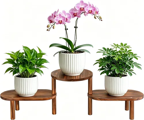 Vista 8 de Estante de plantas cóncavo de interior, soporte de plantas ovalado deformable de 3 niveles, soporte largo para macetas para múltiples plantas