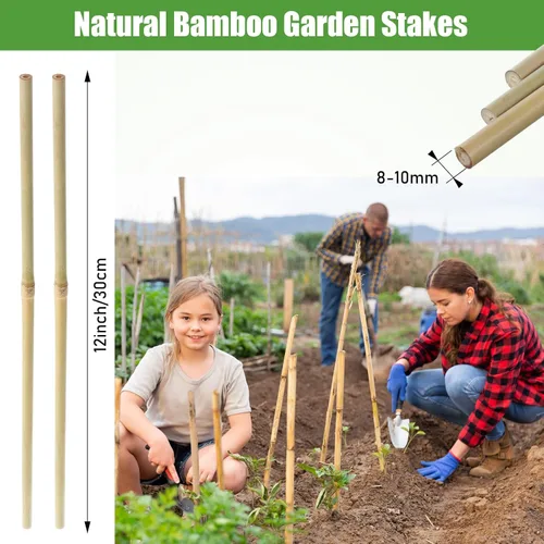 Vista 2 de Suclain Juego de 30 estacas de bambú para plantas trepadoras, estacas de bambú resistentes para tomates, frijoles, flores y plantas en maceta