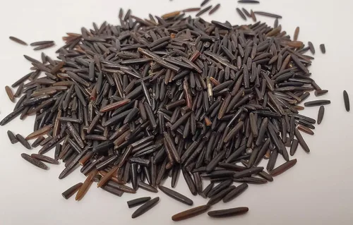 Vista 2 de Arroz silvestre recién tostado de canoa 12oz