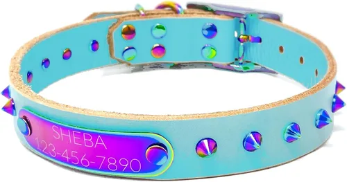 Vista 12 de Collar de perro de cuero con brida hecha a mano, grabado arco iris de acero inoxidable (negro)