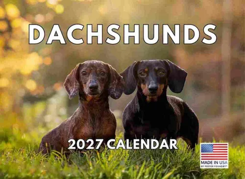 Vista 86 de Calendario mensual de pared Airedale Terrier Dog 2027