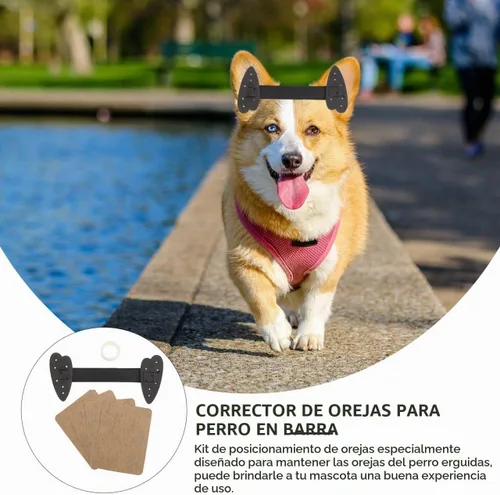Vista 4 de ORFOFE - Kit de publicación de orejas de perro, cinta para orejas de perro y soporte para cachorros, cinta de pie con calcomanías
