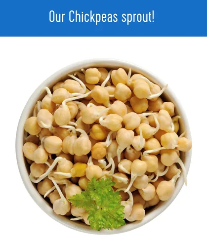 Vista 7 de Palouse Brand Garbanzos certificados sin residuos de glifosato Frijoles de Garbanzo 1 libra Cultivado familiar en el estado de Washington