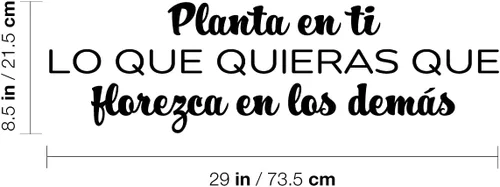 Vista 3 de Calcomanía de vinilo para pared, Planta En Ti Lo Que Quieras Que Florezca/Plant in You What You Want to Bloom - 8.5 x 29 pulgadas - Etiqueta