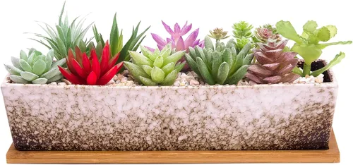 Vista 9 de ARTKETTY Macetas de suculentas - Macetas grandes para suculentas con drenaje, maceta de bonsái rectangular larga de 12 pulgadas con bandeja