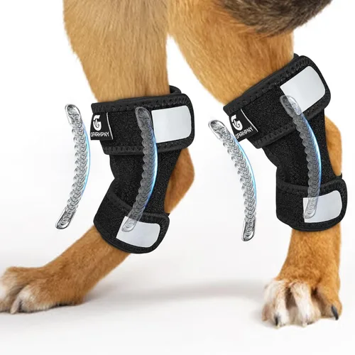 Vista 10 de Tobillera corta de pierna trasera para perro, 1 par