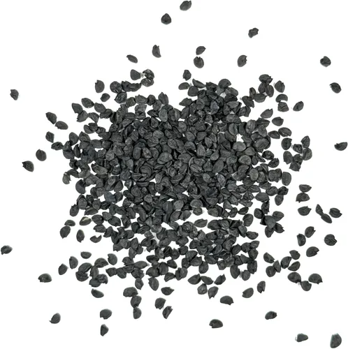 Vista 6 de Seed Needs Semillas de cebolla roja borgoña para plantar reliquia y sin OMG, 1 paquete