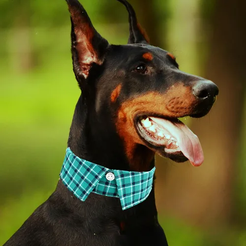 Vista 6 de Collar de algodón para perro con corbatín, cómodo y ajustable con bonito diseño de solapa, para mascotas pequeñas, medianas y grandes