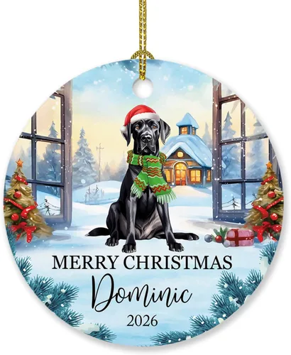 Vista 9 de Adorno personalizado de caniche negro, regalo para perro, mamá, perro, papá, adorno de Navidad único de perro caniche negro 2025, adorno de caniche