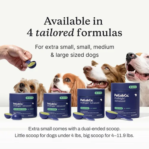 Vista 5 de PetLab Co. ProBright Advanced - Polvo dental para perros extra pequeños, 30 cucharadas