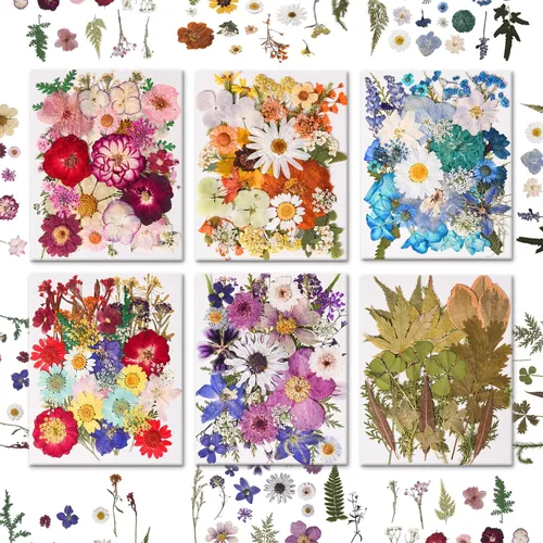 Vista 8 de 182 PCS Real Pressed Dried Flowers and Leaves for DIY Crafts Multicolor2