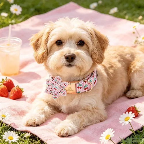 Vista 107 de Collar de perro Lionheart Glory, collar de perro rosa con flor, lindo collar para mascotas con patrón floral ajustable para perros pequeños Rosado