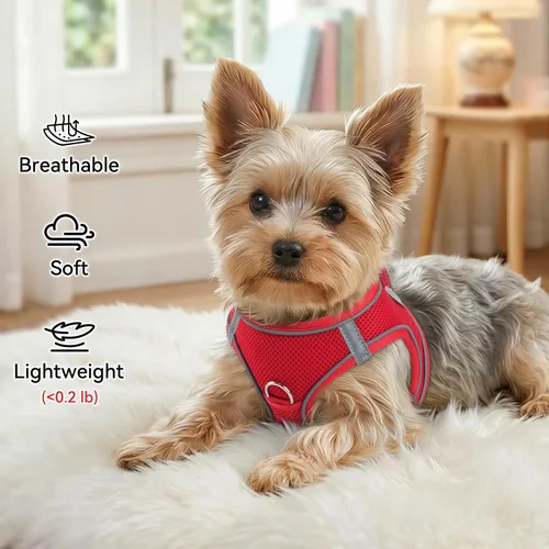 Vista 67 de Joytale Arnés para Perros Pequeños, Chaleco de Malla Transpirable Step-in, Arneses Acolchados Suaves Reflectantes para Gatos y Perros Cachorros