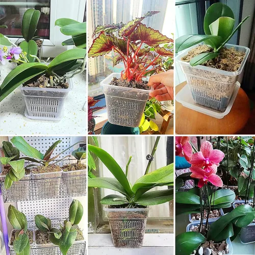 Vista 6 de Macetas de orquídeas con agujeros, paquete de 6 macetas cuadradas