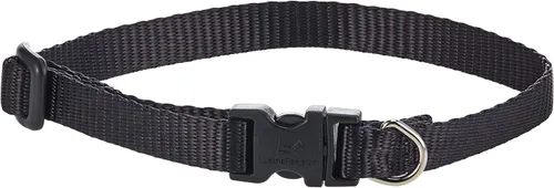 Vista 2 de LupinePet Basics - Collar ajustable negro de 1/2 pulgadas, 10-16 pulgadas, para perros pequeños