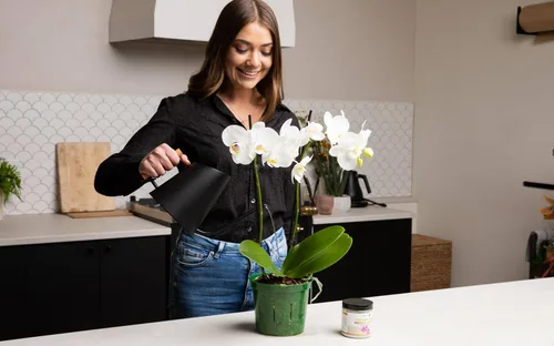 Vista 8 de rePotme Macetas de 4 pulgadas, paquete de 6 macetas (transparentes), maceta transparente ranurada para plantas de interior, perfecta para orquídeas