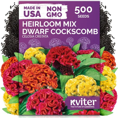 Vista 55 de 500 Ball's Orange Calendula Heirloom Flower Seeds, Calendula Officinalis