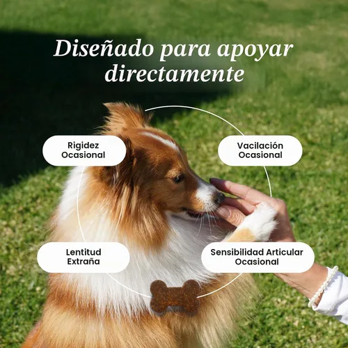 Vista 3 de PetLab Co. Masticables para el cuidado de las articulaciones para perros, 30 masticables suaves, paquete de 2, cerdo