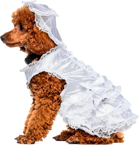 Vista 5 de Rubies Disfraz de novia para perros o gatos, grande