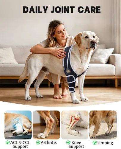 Vista 2 de Soporte de pierna delantera para perro para pierna izquierda o derecha, manga de soporte de codo canino con neopreno SBR transpirable y soporte