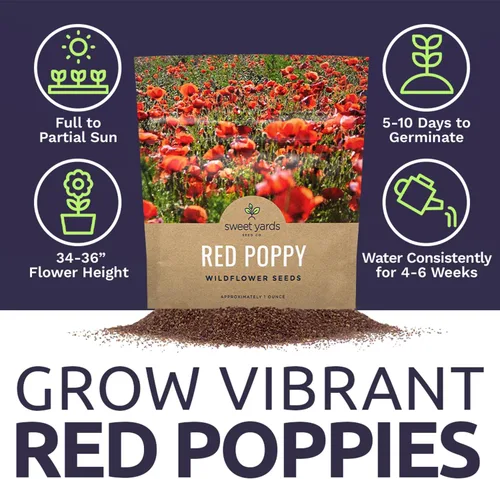 Vista 6 de Semillas de amapola roja - Paquete grande de 1 onza - Más de 200,000 semillas de flores