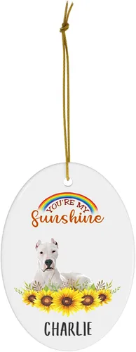 Vista 2 de You are My Sunshine Lying Dogo - Regalos argentinos para mujeres, diseño de girasol, arco iris, adornos de Navidad personalizados 2023 ovalados