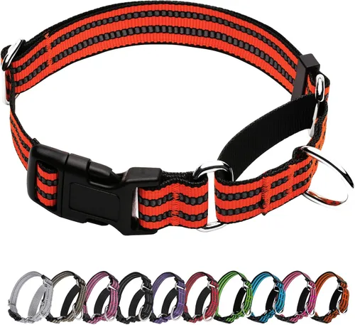 Vista 21 de Martingale - Collar reflectante de nailon ajustable con hebilla de liberación rápida, collares de entrenamiento para perros pequeños, medianos