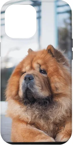 Vista 25 de Funda Chow Chow Chow para iPhone 15 Pro Max